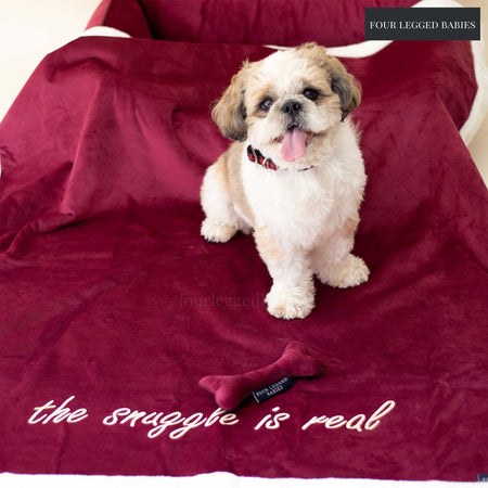 Crimson Luxurious Dog blanket For Daily Use