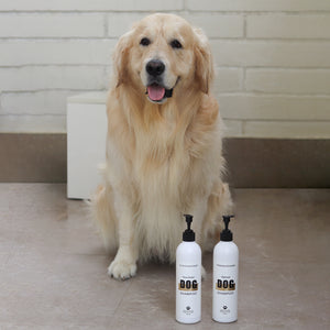 MINI Luxury dog shampoo SHEA BUTTER  for the softest fur 50ML