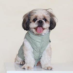 New Pistache Packable Quilted Dog jacket