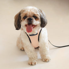 Load image into Gallery viewer, Baby Pink Air harness set - small dog