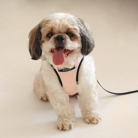 Baby Pink Air harness set - small dog