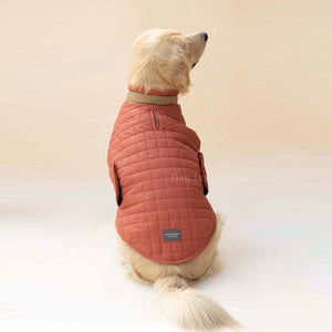 Quilted Dog jacket Coral