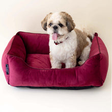 Load image into Gallery viewer, Crimson Luxurious Dog Bed Removable Italian Velvet Cover &amp; Machine Washable Bed For Daily Use