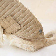 Load image into Gallery viewer, Quilted Dog jacket beige