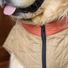 Load image into Gallery viewer, Quilted Dog jacket beige