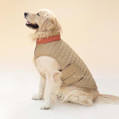 Quilted Dog jacket beige