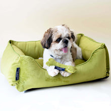 Load image into Gallery viewer, Evergreen Luxurious Dog Bed Removable Italian Velvet Cover &amp; Machine Washable Bed For Daily Use