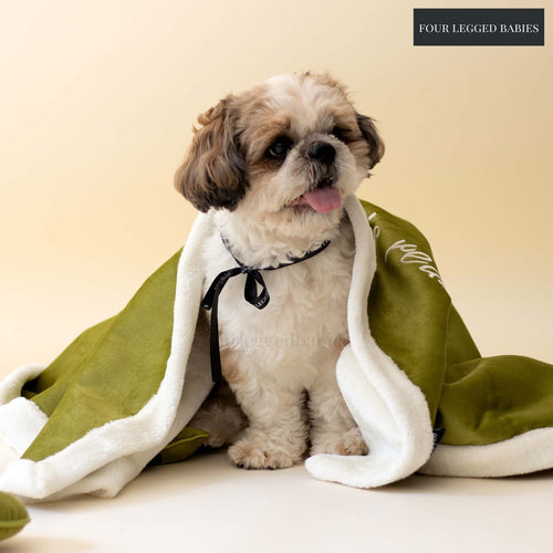 Evergreen Luxurious Dog blanket  For Daily Use