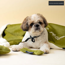 Load image into Gallery viewer, Evergreen Luxurious Dog blanket  For Daily Use