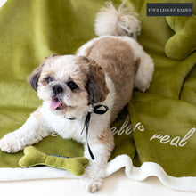 Load image into Gallery viewer, Evergreen Luxurious Dog blanket  For Daily Use