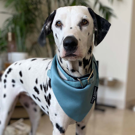 Luxury Aqua Blue Bandana