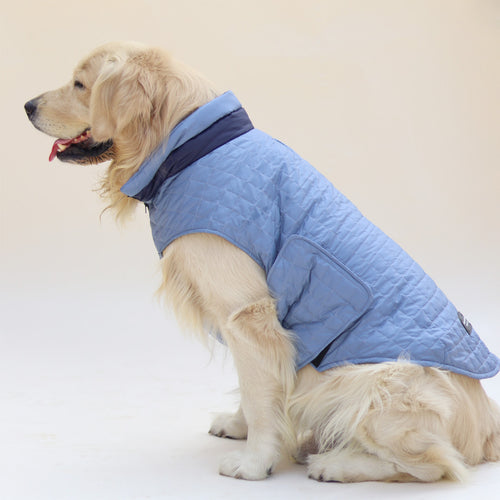 New Quilted Dog jacket Sky Blue