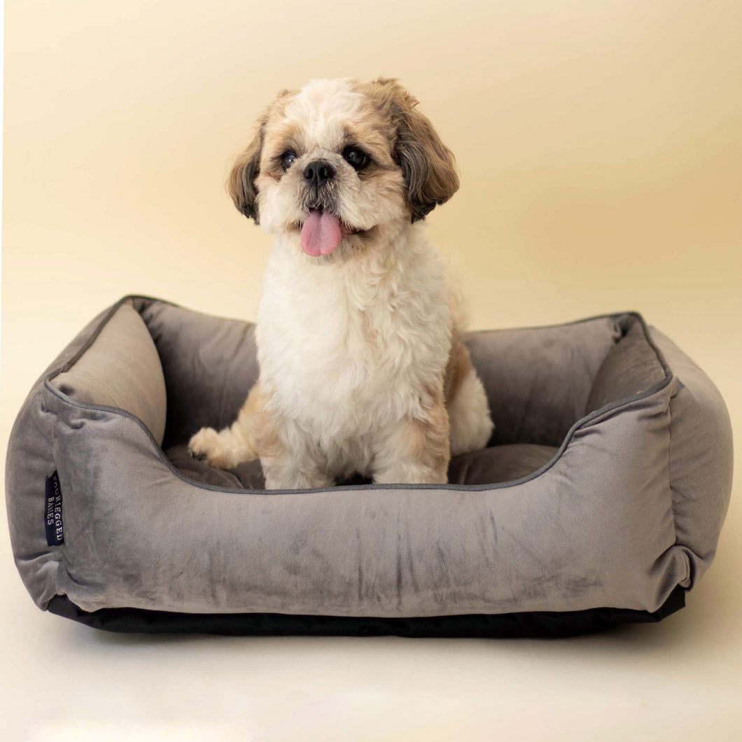 Chivalrous Luxurious Grey Dog Bed Removable Italian Velvet Cover & Machine Washable Bed For Daily Use
