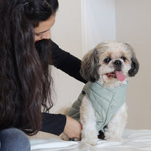 Load image into Gallery viewer, New Pistache Packable Quilted Dog jacket