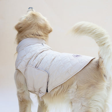 New Quilted Dog jacket Ecru