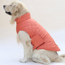 Load image into Gallery viewer, New Quilted Dog jacket Mid Orange