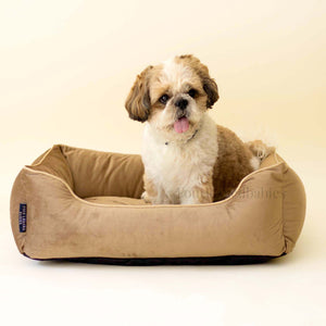 Taupe Luxurious Dog Bed Removable Italian Velvet Cover & Machine Washable Bed For Daily Use