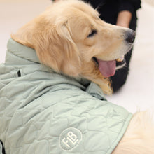 Load image into Gallery viewer, New Quilted Dog jacket Pistache