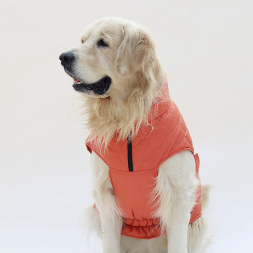 New Quilted Dog jacket Mid Orange