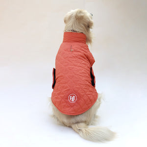 New Quilted Dog jacket Mid Orange