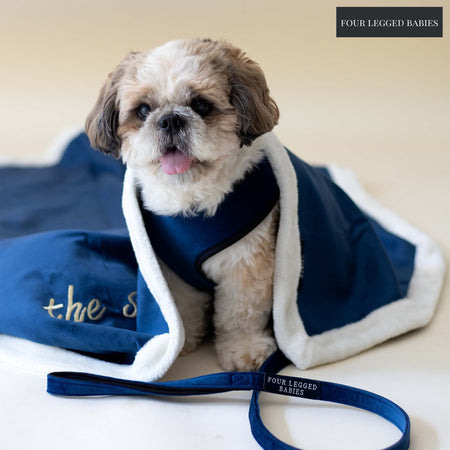 Midnight Luxurious Dog blanket  For Daily Use