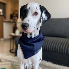 Load image into Gallery viewer, Luxury Royal Blue Bandana