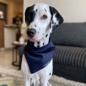 Luxury Royal Blue Bandana