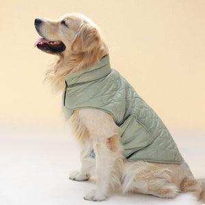 New Quilted Dog jacket Pistache