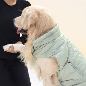New Quilted Dog jacket Pistache