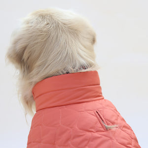 New Quilted Dog jacket Mid Orange