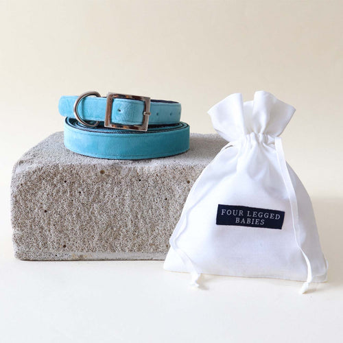 Soft sky Collar & Leash set