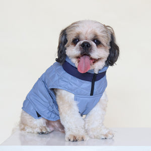 New Quilted Dog jacket Sky Blue