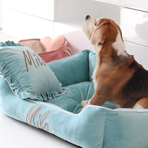 Personalized Luxury dog bed and cushion gift set