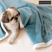 Load image into Gallery viewer, Soft sky Luxurious Dog Blanket For Daily Use