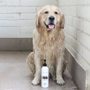Luxury dog shampoo OATMEAL SHAMPOO for the softest fur 500ML