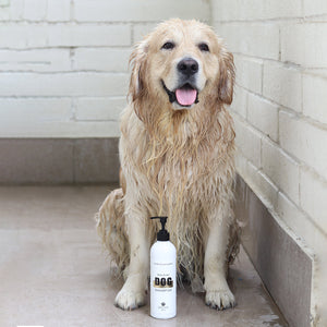 Luxury dog shampoo SHEA BUTTER  for the softest fur 500ML