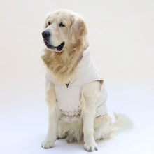 Load image into Gallery viewer, New Quilted Dog jacket Ecru